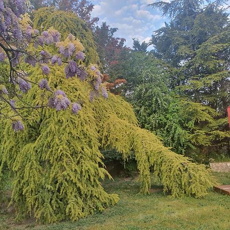 Gite Au Coeur De La Provence & Spa 생카나 외부 사진
