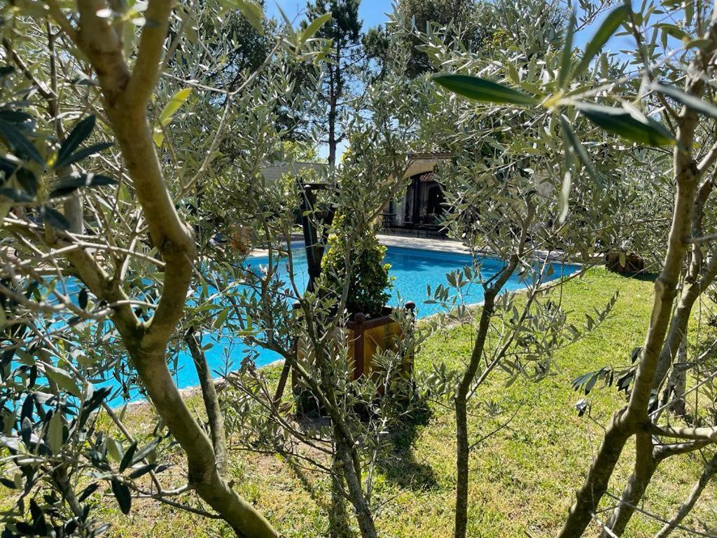 Gite Au Coeur De La Provence & Spa 생카나 외부 사진